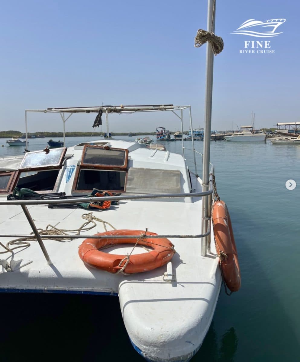 Boat Trips